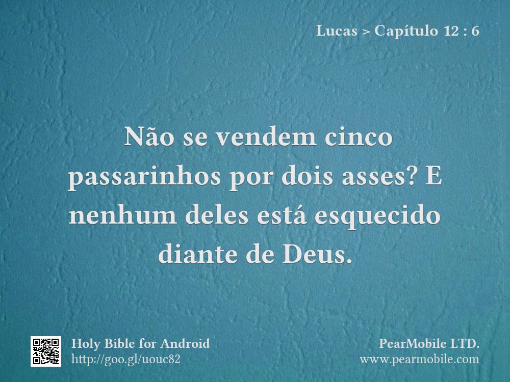 Lucas, Capítulo 12:6